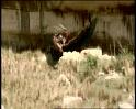 PDVD_1255