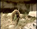 PDVD_1256