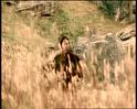 PDVD_1261