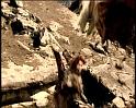 PDVD_1276