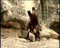 PDVD_1285