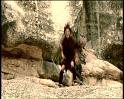 PDVD_1286