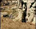 PDVD_1288