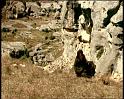 PDVD_1289