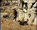 PDVD_1290
