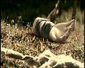 PDVD_1296