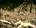 PDVD_1297