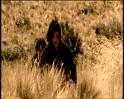 PDVD_1301