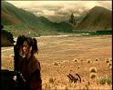 PDVD_1312