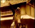 PDVD_1328