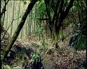 PDVD_1365