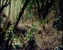 PDVD_1366