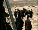 PDVD_1418