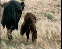 PDVD_1437
