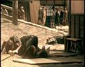 PDVD_1469