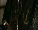 PDVD_1560