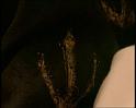 PDVD_1569