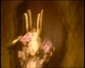 PDVD_171
