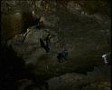 PDVD_1823