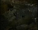 PDVD_1824