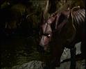 PDVD_1826