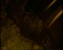 PDVD_188
