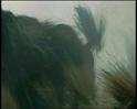 PDVD_1991