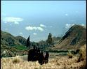 PDVD_2002