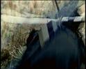 PDVD_2028