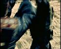 PDVD_2044