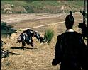 PDVD_2245