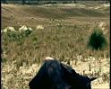 PDVD_2328