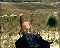 PDVD_2329