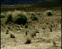 PDVD_2393