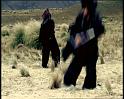 PDVD_2394