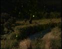 PDVD_410