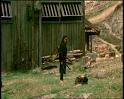 PDVD_440