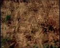 PDVD_466