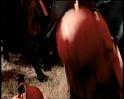 PDVD_473