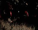 PDVD_476
