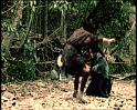 PDVD_637