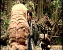 PDVD_654