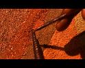 PDVD_1228
