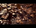 PDVD_1426
