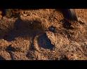 PDVD_1719