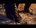 PDVD_1720