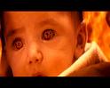 PDVD_1755