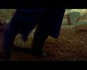 PDVD_1773