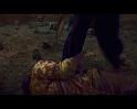 PDVD_1813