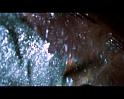 PDVD_418